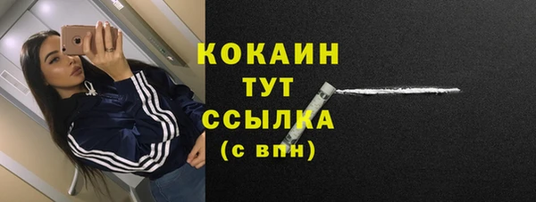 молекула духа Инсар