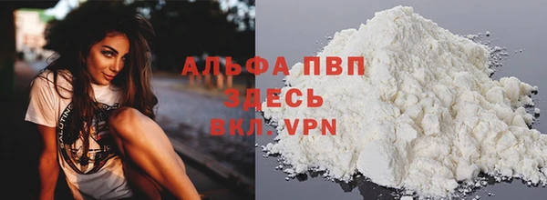 тгк Инта