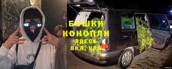 молекула духа Инсар