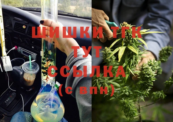 тгк Инта