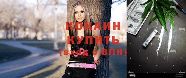 тгк Инта