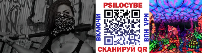 Купить закладки  Дедовск  Галлюциногенные грибы Psilocybe 